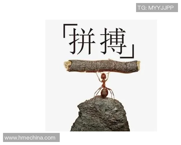 刘铮：从篮球场上的拼搏者到人生舞台上的奋斗者的精彩人生旅程