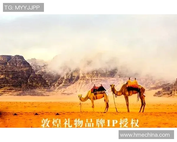 徐昕：在新时代的浪潮中探索科技与人文的交融之路