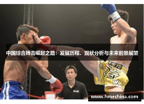 中国综合搏击崛起之路：发展历程、现状分析与未来前景展望