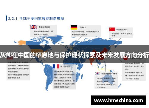 灰熊在中国的栖息地与保护现状探索及未来发展方向分析