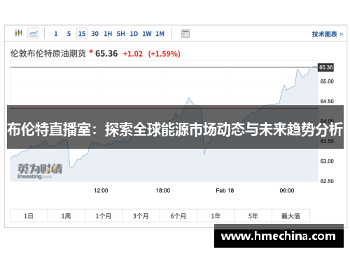 布伦特直播室：探索全球能源市场动态与未来趋势分析