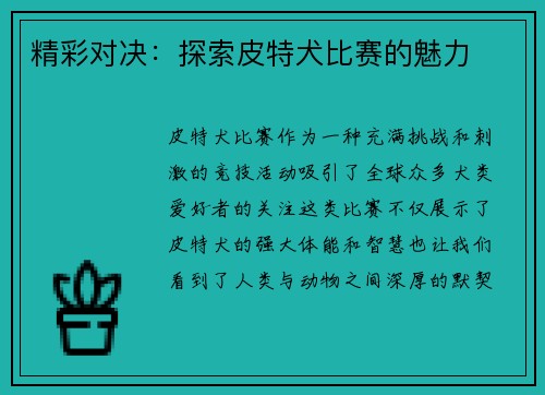 精彩对决：探索皮特犬比赛的魅力