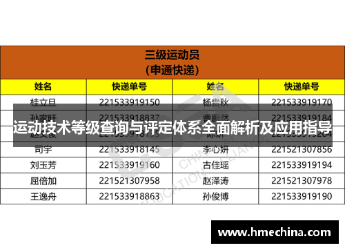 运动技术等级查询与评定体系全面解析及应用指导
