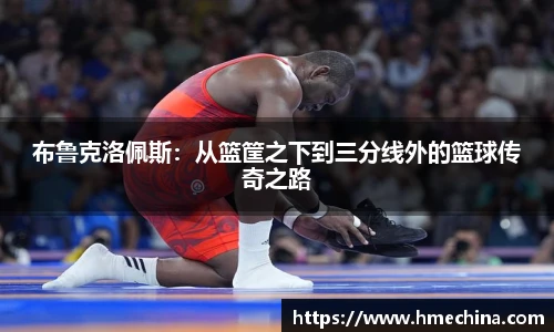 布鲁克洛佩斯：从篮筐之下到三分线外的篮球传奇之路